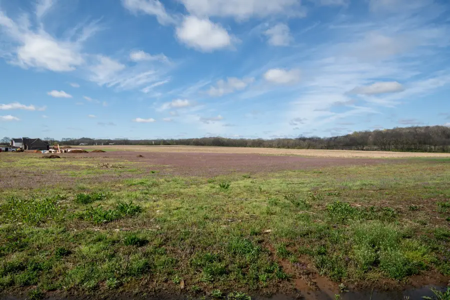 0 South Cross Bridges Rd, Mount Pleasant, TN 38474 - Image #3