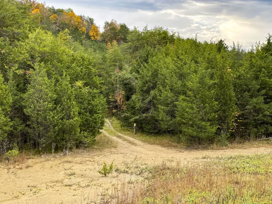 0 Parrotts Chapel Rd, Sevierville, TN 37876 - #2