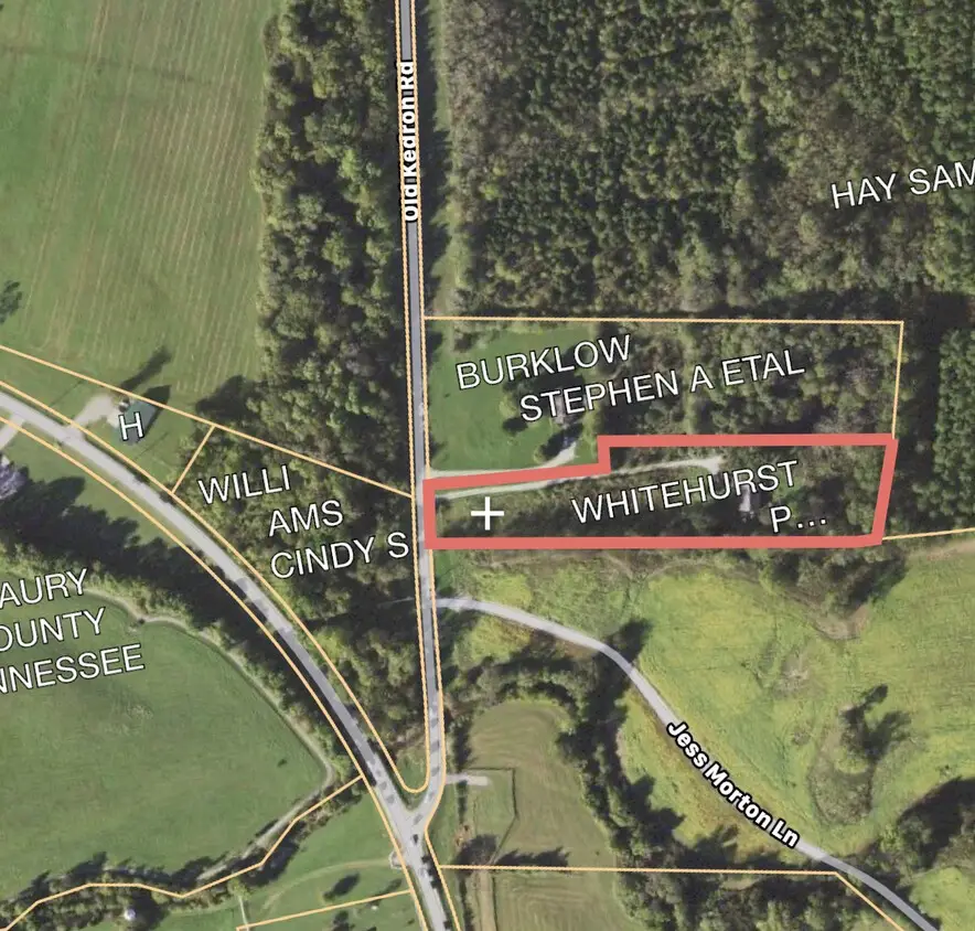 1009 Old Kedron Rd, Spring Hill, TN 37174 - #3