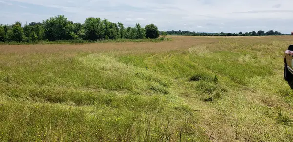 5 Webb Lane, Smithville, TN 37166