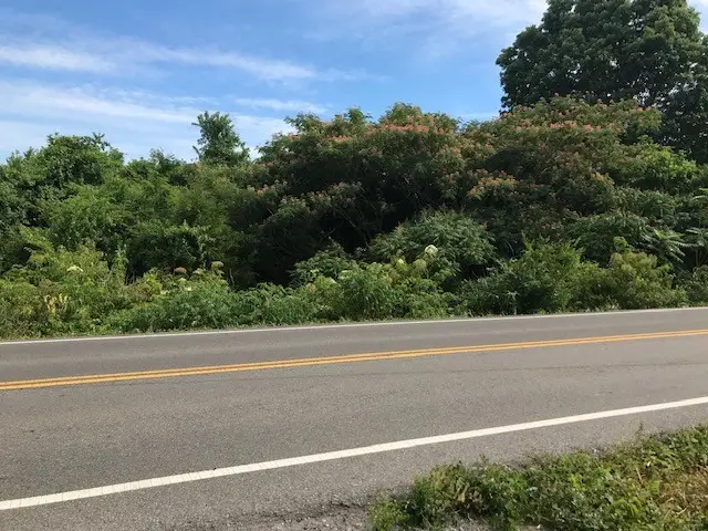 0 Division Street E, Mount Juliet, TN 37122 - #2