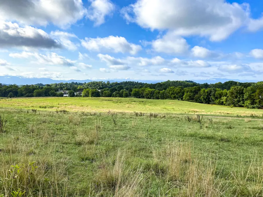 0 Hwy 139, Dandridge, TN 37725 - Image #2