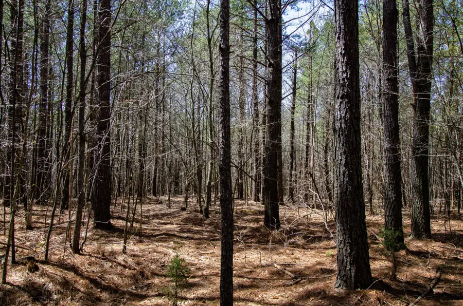 0 Country Side Ln Lot #51, Spencer, TN 38585 - Image #2