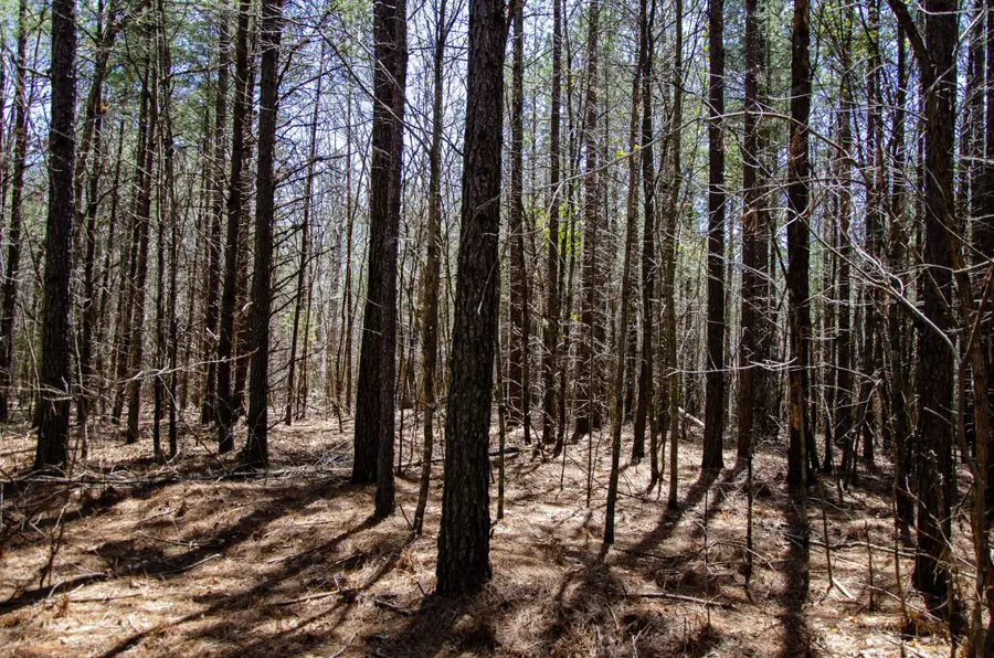 0 Country Side Ln Lot #51, Spencer, TN 38585 - Image #3