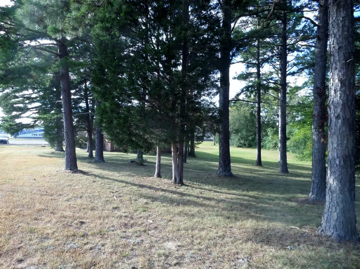 0 Joe Ave, Hohenwald, TN 38462 - Image #1