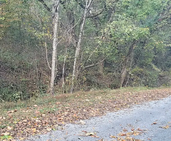 0 Buckeye Hollow Road, Smithville, TN 37166