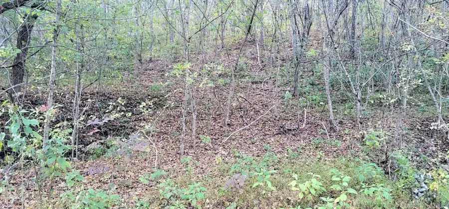 0 Buckeye Hollow Road, Smithville, TN 37166 - #2