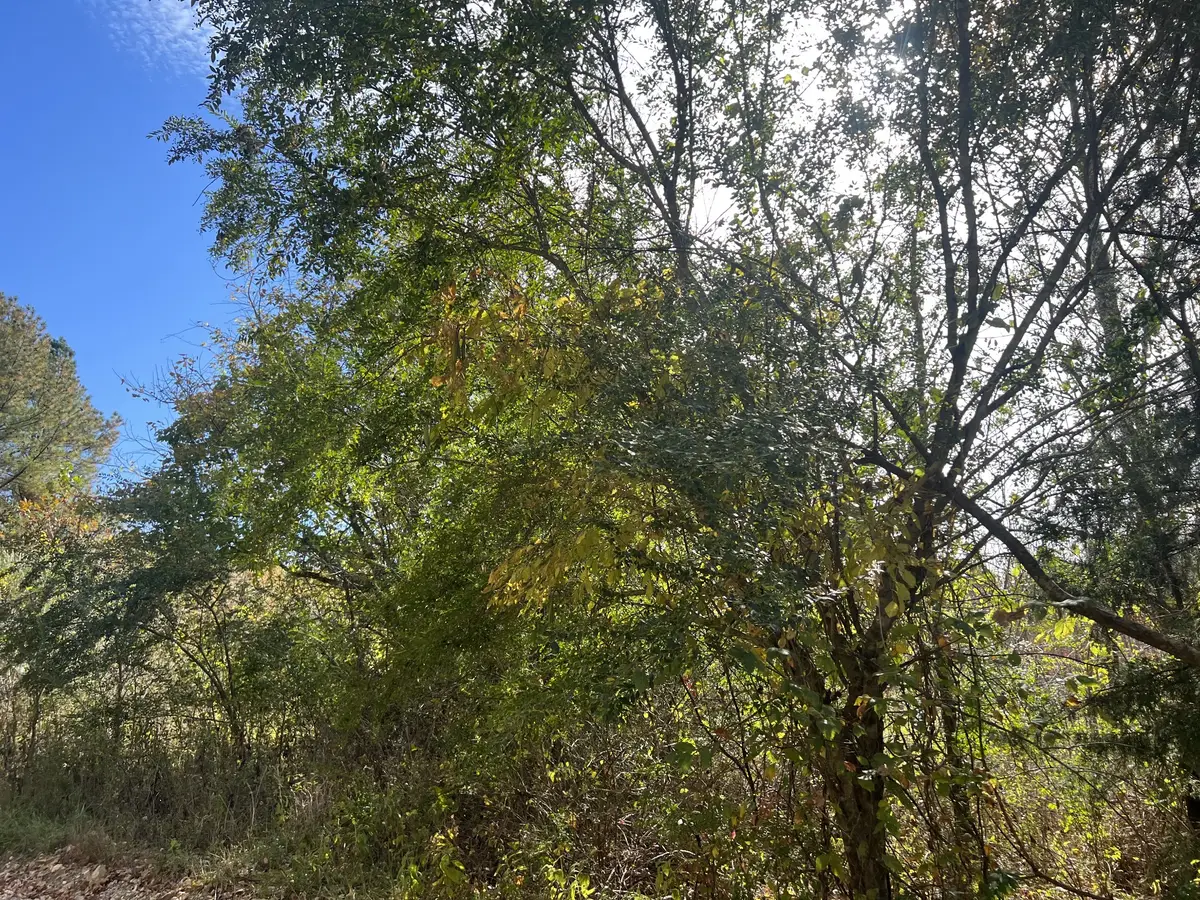 5 Clyde Webb, Tennessee Ridge, TN 37178 - Image #1