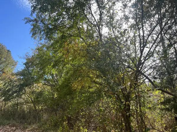 5 Clyde Webb, Tennessee Ridge, TN 37178