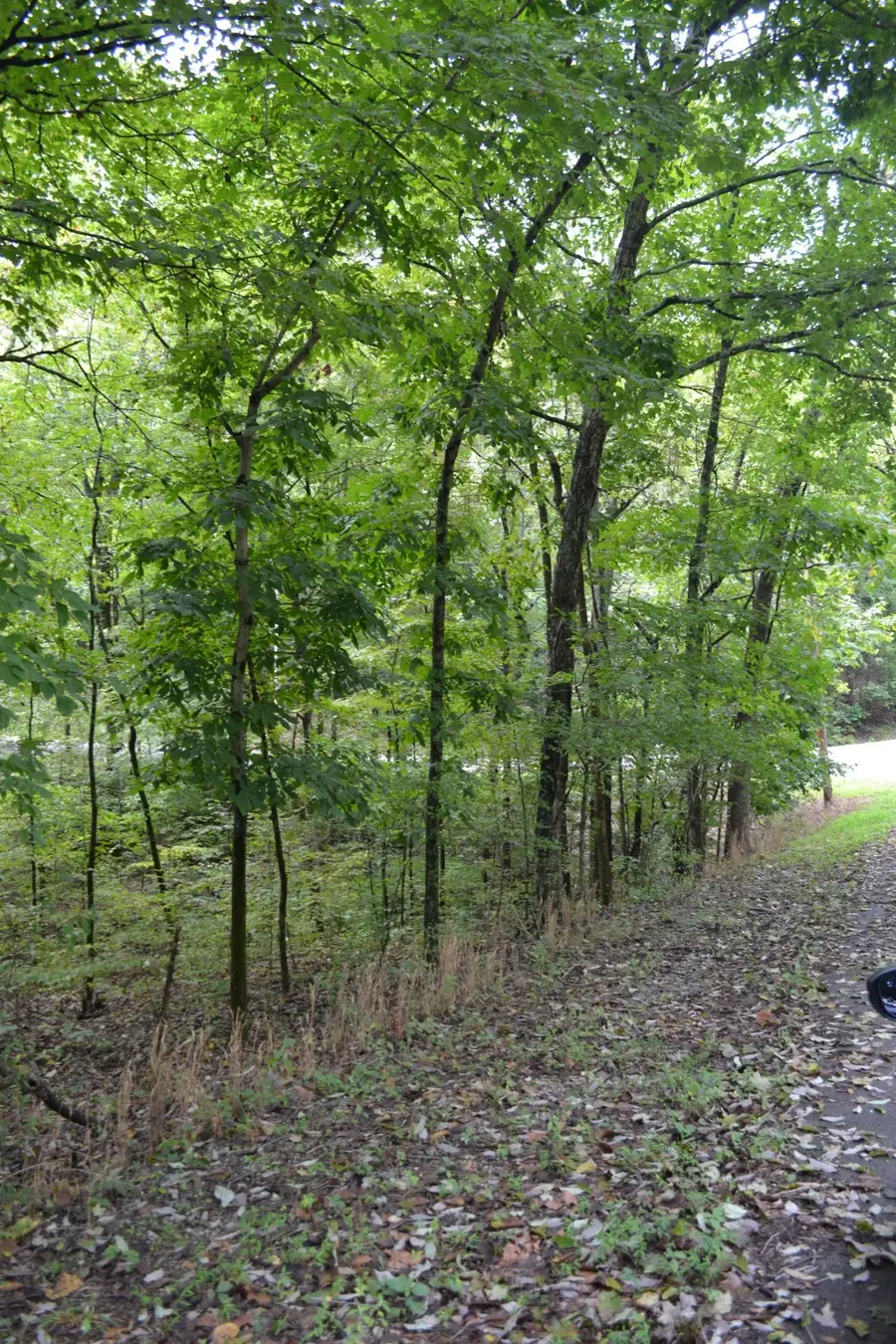 0 Pond Drive, Gallatin, TN 37066 - #2