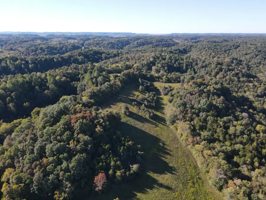 0 Noah, Beechgrove, TN 37018 - Image #2