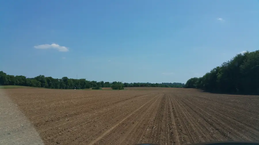 9438 Lewisburg Hwy E, Cornersville, TN 37047 - Image #3