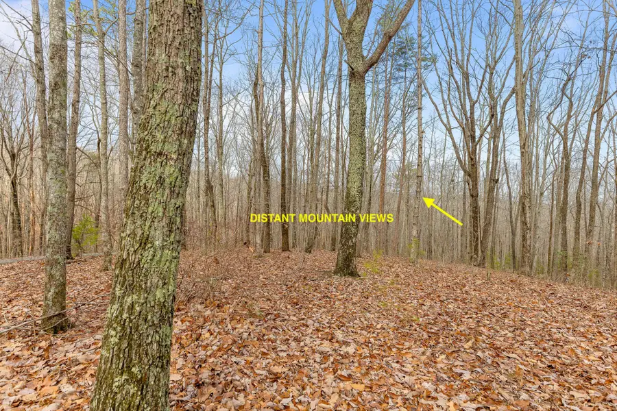 0 Lookout Crest Lane, Lookout Mountain, GA 30750 - Image #3