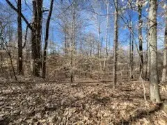 0 Old Tobaccoport Rd, Bumpus Mills, TN 37028 - Image #1