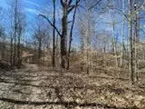 0 Old Tobaccoport Rd, Bumpus Mills, TN 37028 - Image #2
