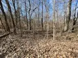0 Old Tobaccoport Rd, Bumpus Mills, TN 37028 - Image #3
