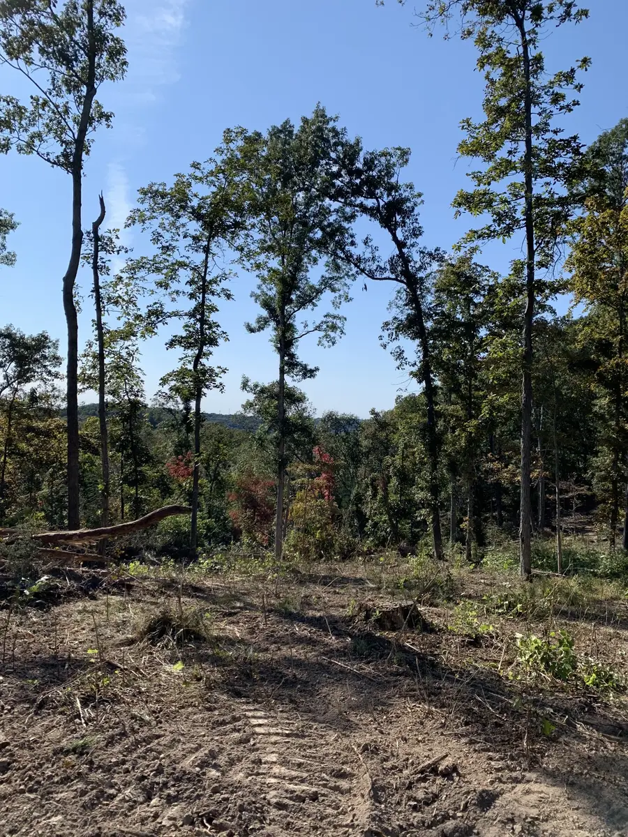 0 Hester Beasley Rd, Nashville, TN 37221 - #3