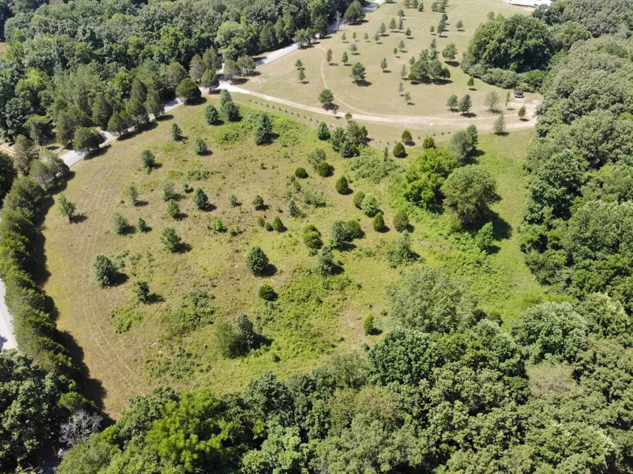 0 Dice Lampley Road, Fairview, TN 37062 - Image #3