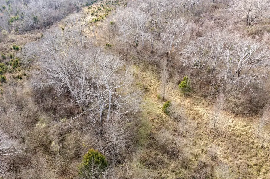 0 Campbell West Rd, Goodlettsville, TN 37072 - Image #2