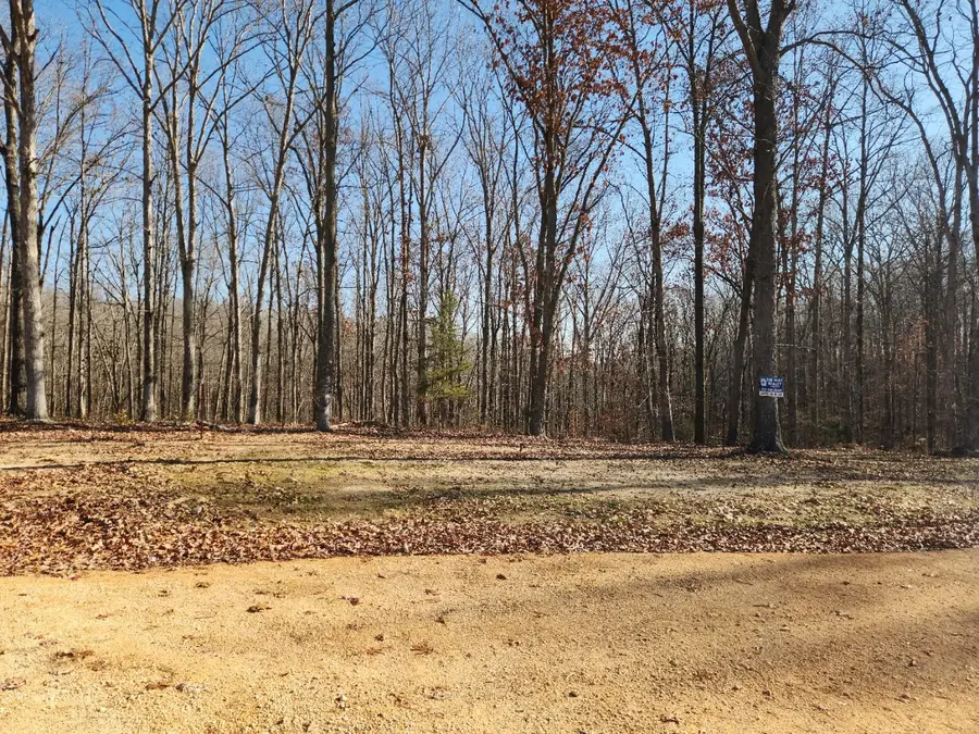 118 Bella Way, Hohenwald, TN 38462 - Image #3