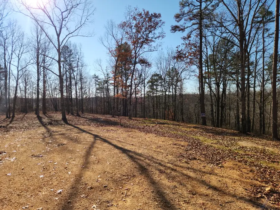 119 Bella Way, Hohenwald, TN 38462 - Image #3