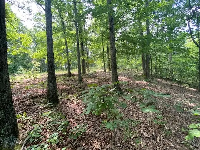 0 Eagle Nest Ln, Big Sandy, TN 38221 - Image #1