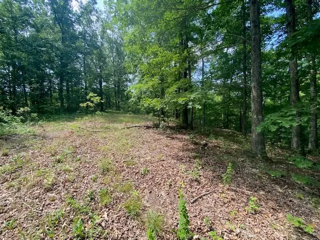 0 Eagle Nest Ln, Big Sandy, TN 38221 - Image #3