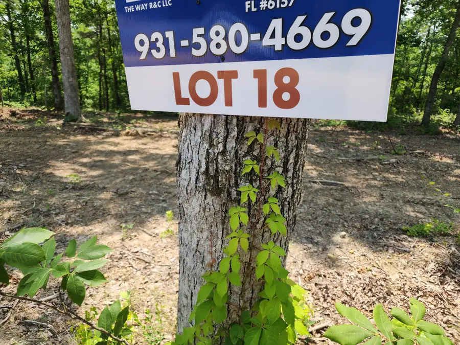 105 Bella Way, Hohenwald, TN 38462 - Image #3