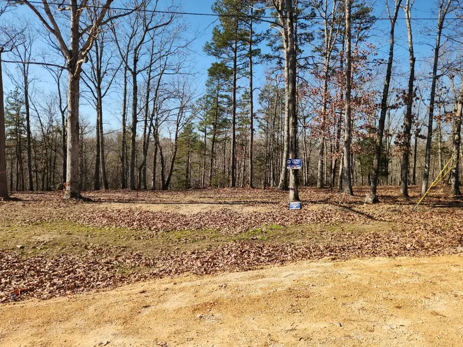 101 Bella Way, Hohenwald, TN 38462 - Image #3