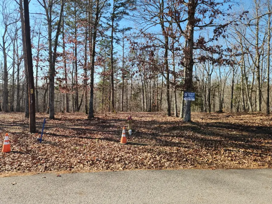 317 Briar Hollow Road, Hohenwald, TN 38462 - Image #3