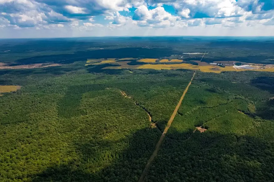 16226 Sr 50, Altamont, TN 37301 - Image #2