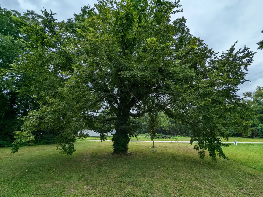 212 Boswell St, Mount Pleasant, TN 38474 - Image #3