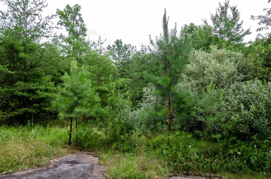 0 Valley Ln, Spencer, TN 38585 - Image #2