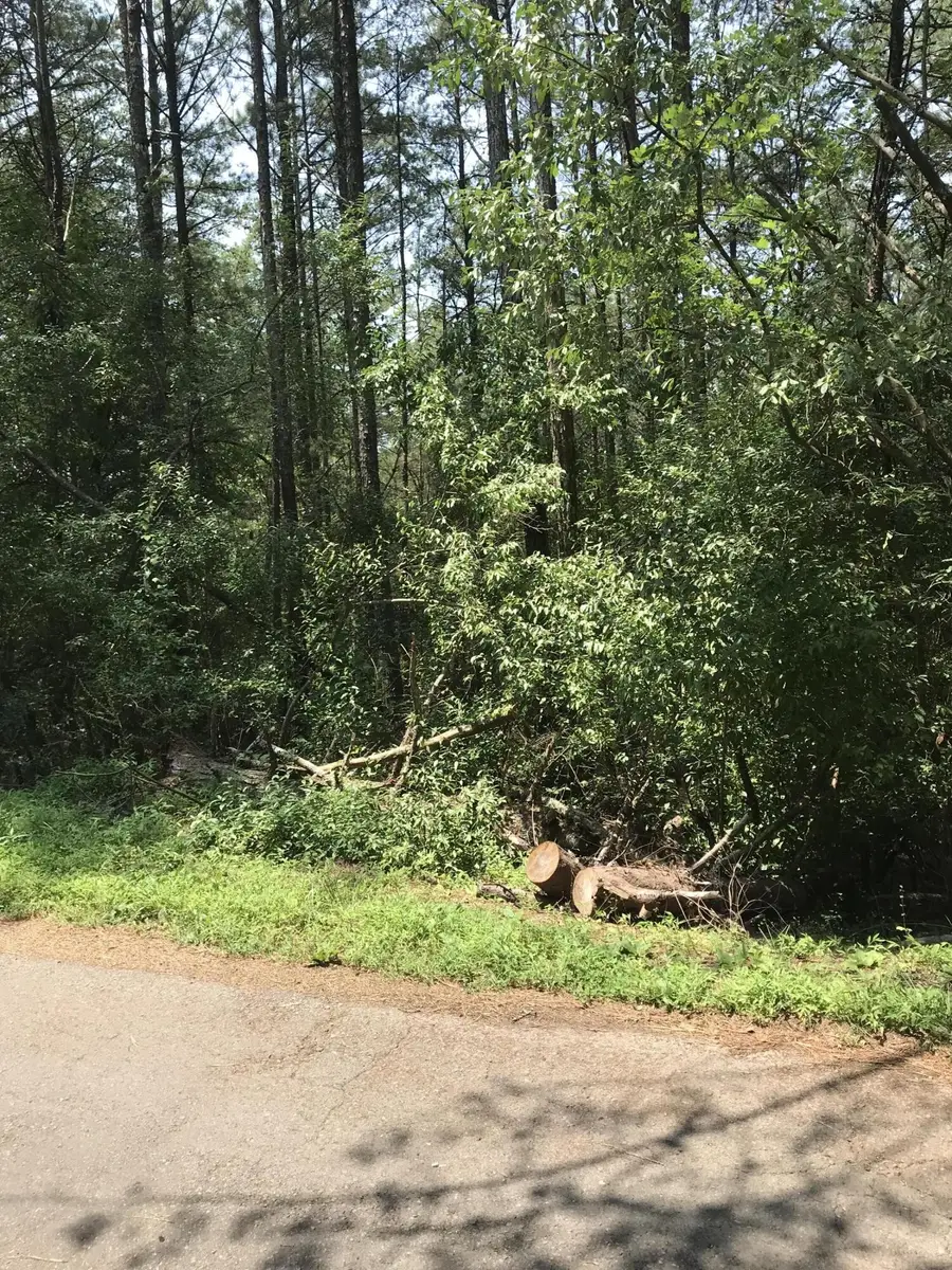 0 Hiwassee Street, Ducktown, TN 37326 - Image #3