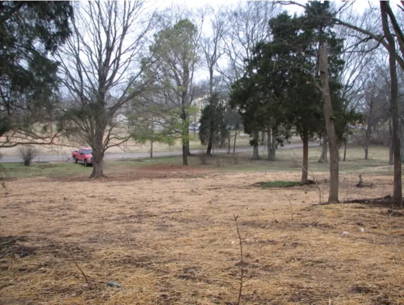 1311 Huffines Ridge Dr, Franklin, TN 37067 - Image #1