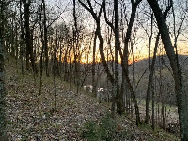 2378 Lick Creek Rd, Hartsville, TN 37074