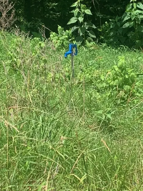 2378 Lick Creek Rd, Hartsville Trousdale County, TN 37074 - Image #2