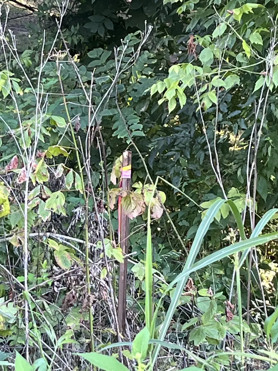 1930 Arlington Rd, Lebanon, TN 37087 - #2