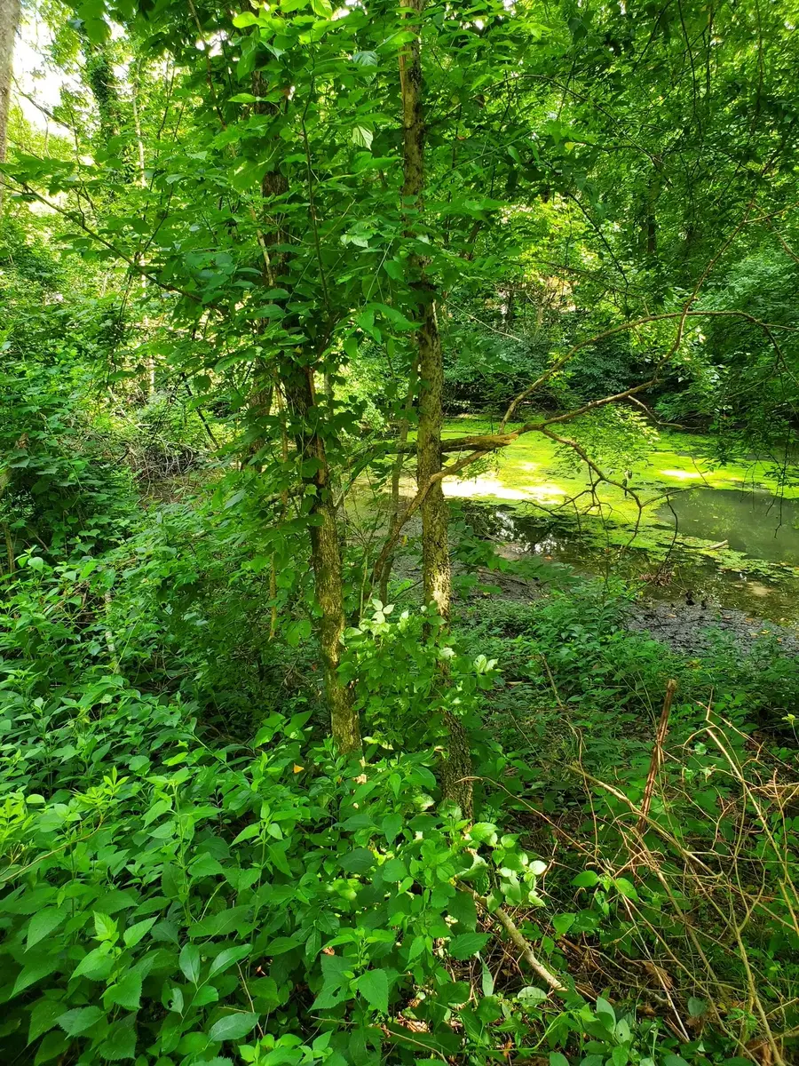 1930 Arlington Rd, Lebanon, TN 37087 - #3