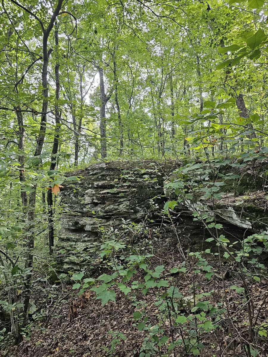 0 60th Ave S, Gruetli Laager, TN 37339 - Image #2