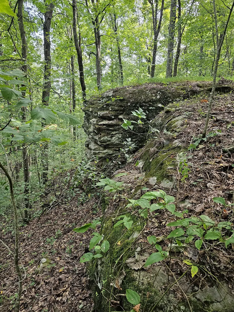 0 60th Ave S, Gruetli Laager, TN 37339 - Image #3