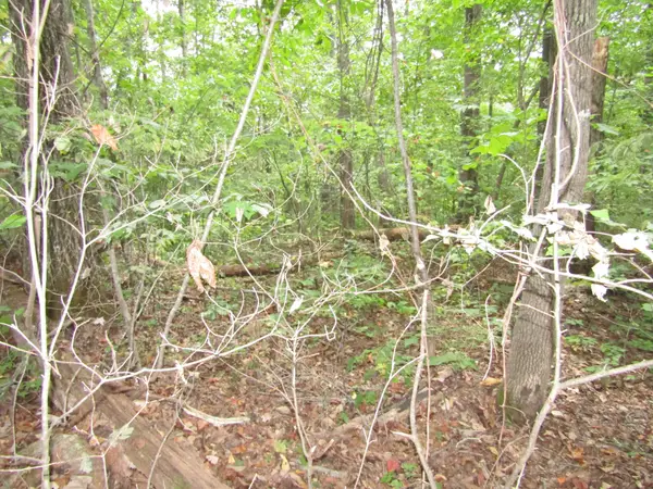 0 Cheyenne Drive, Jamestown, TN 38556