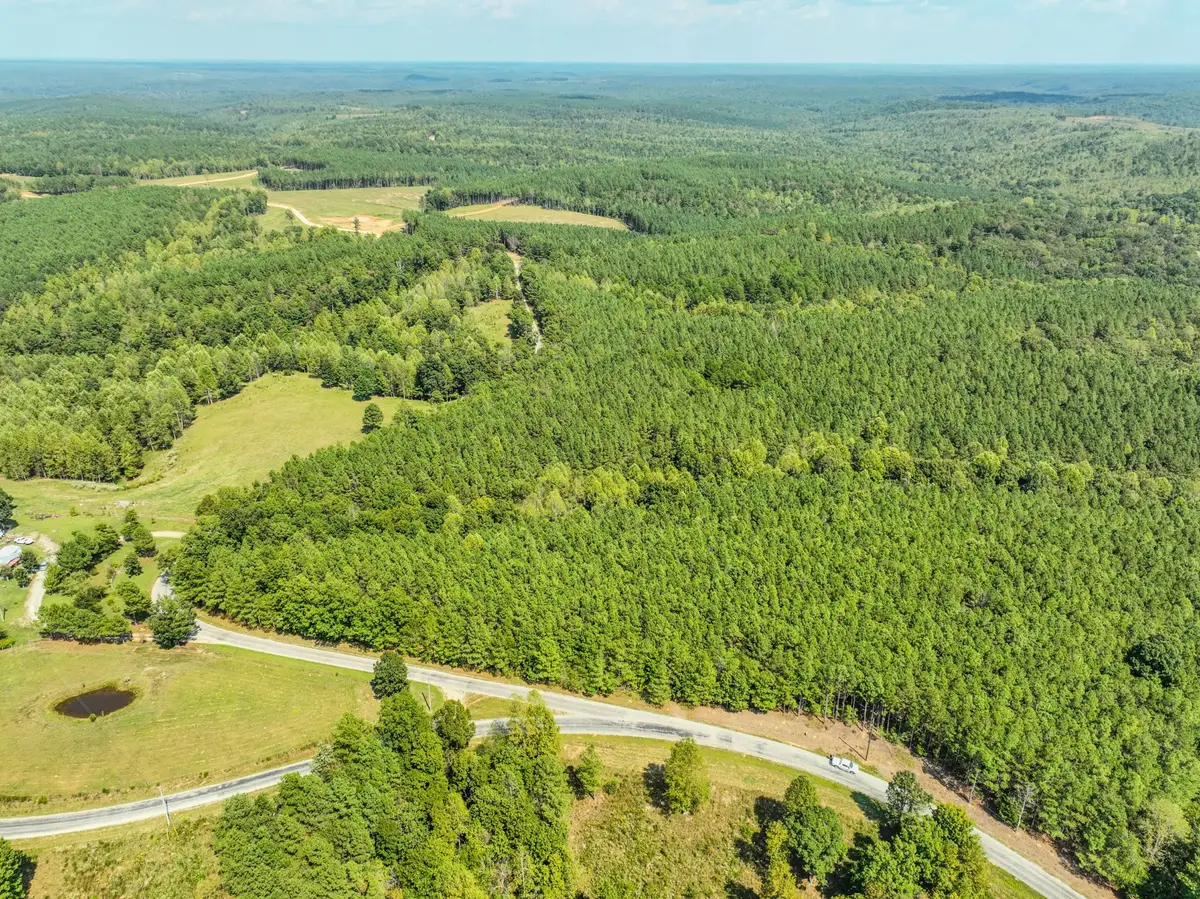 0 Hudson Rd, Hohenwald, TN 38462 - Image #1