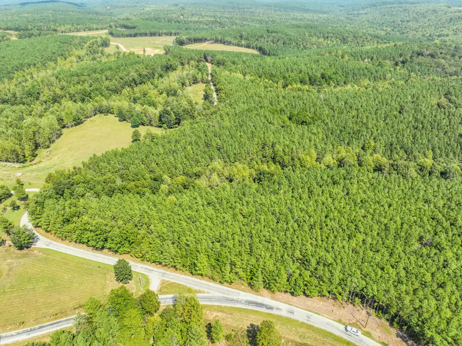 0 Hudson Rd, Hohenwald, TN 38462 - Image #2