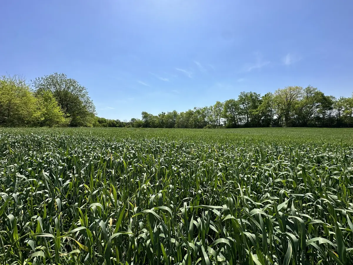 0 Highway 41a, Eagleville, TN 37060 - Image #1