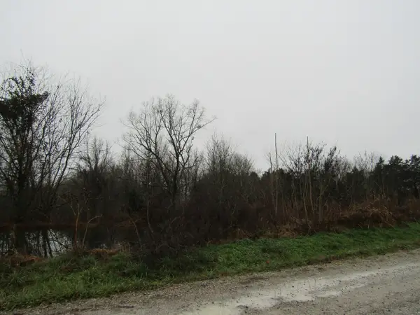 0 Lanis Rd, Baxter, TN 38544