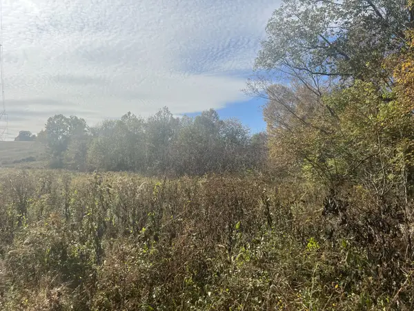 6 Clyde Webb, Tennessee Ridge, TN 37178