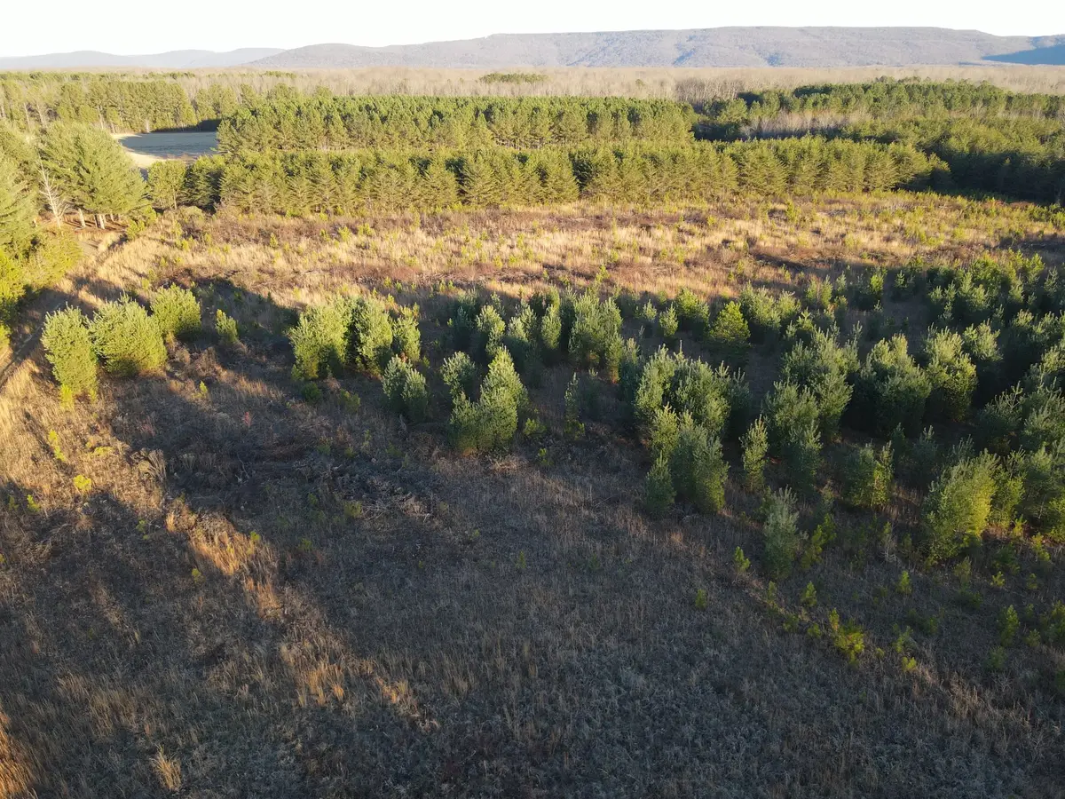 0 Hickerson Road, Manchester, TN 37355 - Image #1