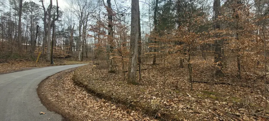 1 Tobaccoport Circle, Bumpus Mills, TN 37028 - Image #2