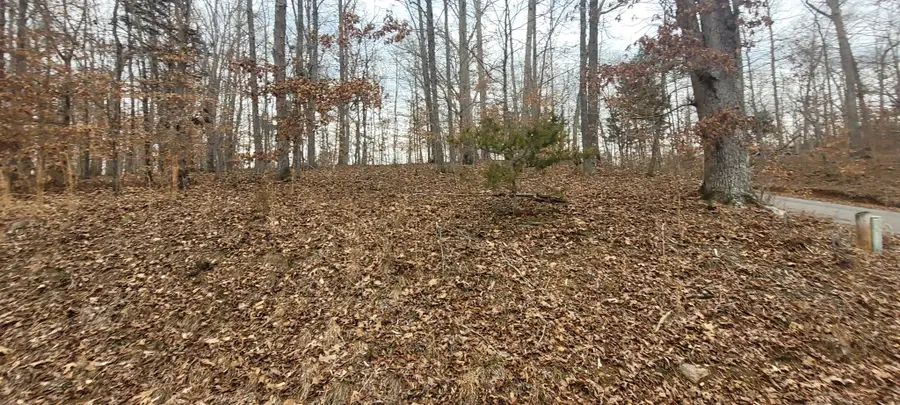 1 Lakeshore Cir, Bumpus Mills, TN 37028 - Image #2